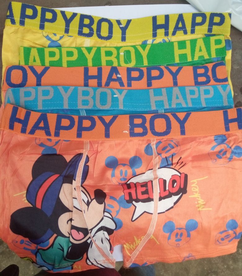 Boys Cartoon Character Boxer 6 In1 For Big Bum Bum