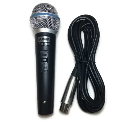 Wired Microphone - DM-70s