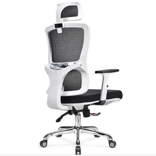 Executive Ergonomic Office Chair