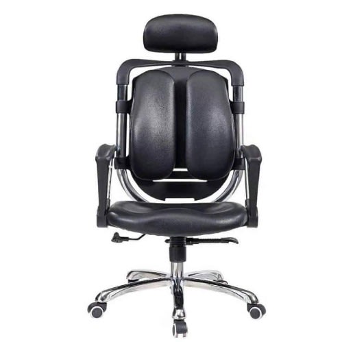 Kidney Ergonomic Office Chair