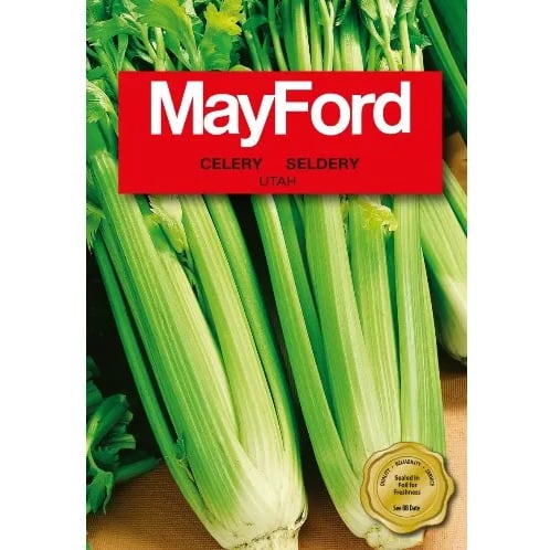 Celery Seeds