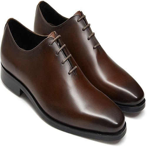 Pure Brown Leather Shoe