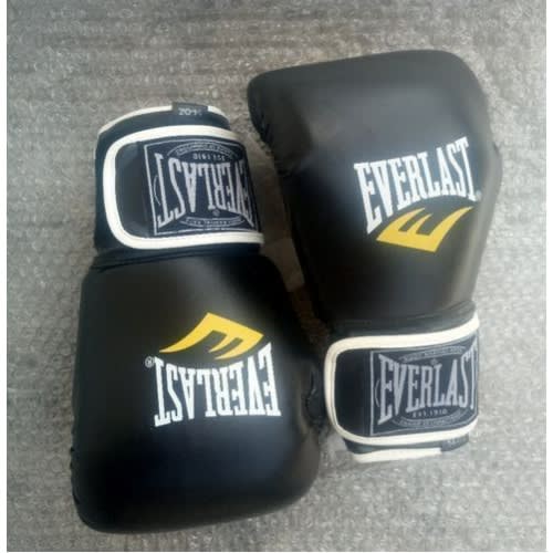 Everlast Leather Boxing Gloves