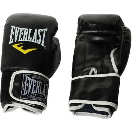 Everlast Boxing Glove