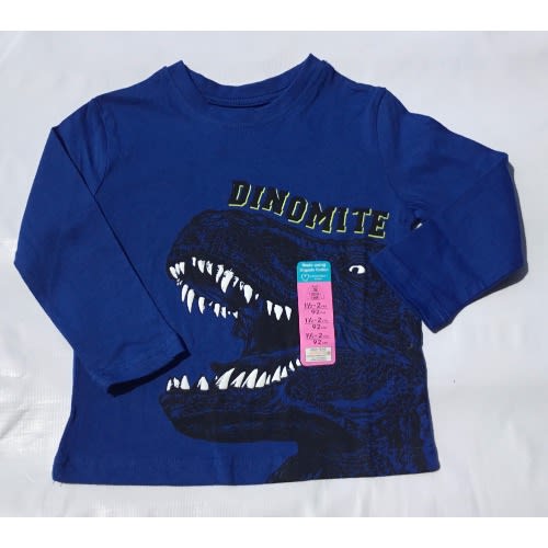 Boys Long Sleeve Top - Blue