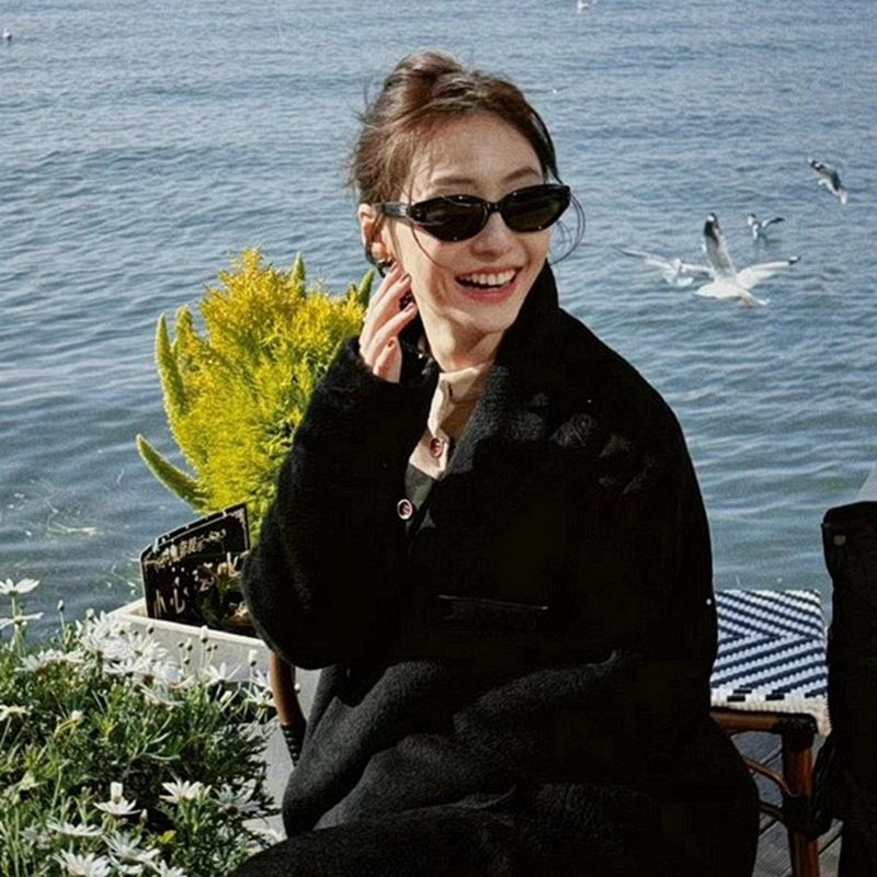 Retro Cateye Sunglasses Female Small Face Ins Sunglasses