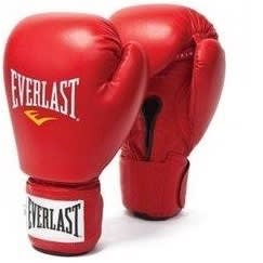 Everlast Boxing Glove