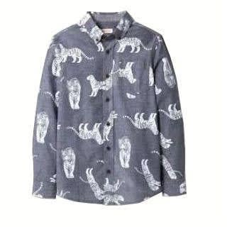 Boys' Long Sleeves Shirt