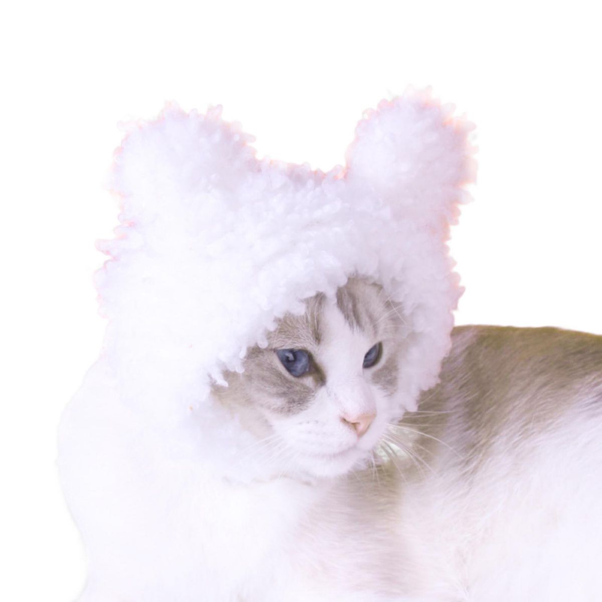 Pet Hat Pet Cosplay Warm Plush Headwear White