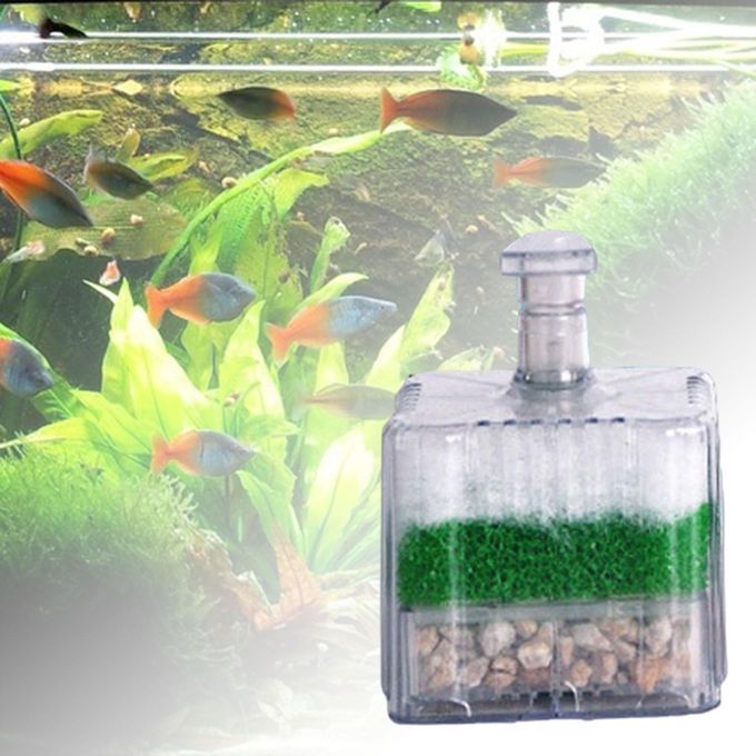 Replacement Coldwater Tropical Aquarium