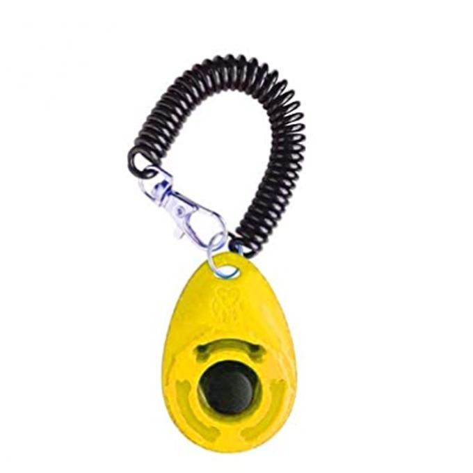 Puppy  Trainer Obedience  Wrist Is Introducing New Wearable Yellow