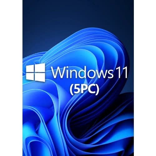 Microsoft Windows 11 Professional Lifetime License-5 Users