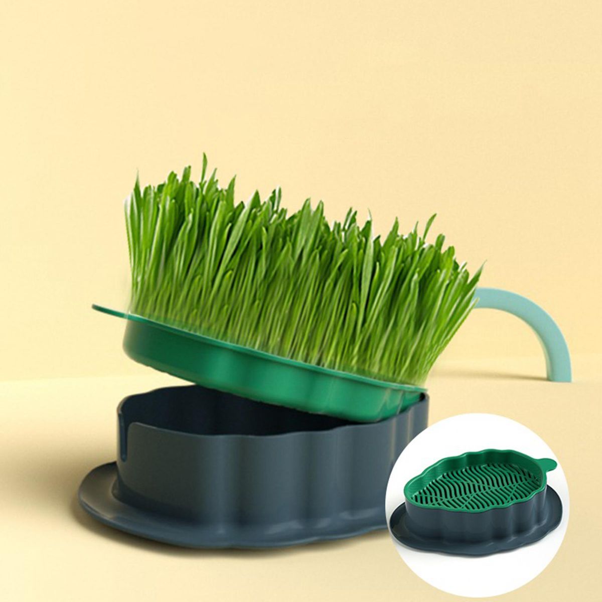 Cats Grass  Tray  Cats Box For Home Planting Green