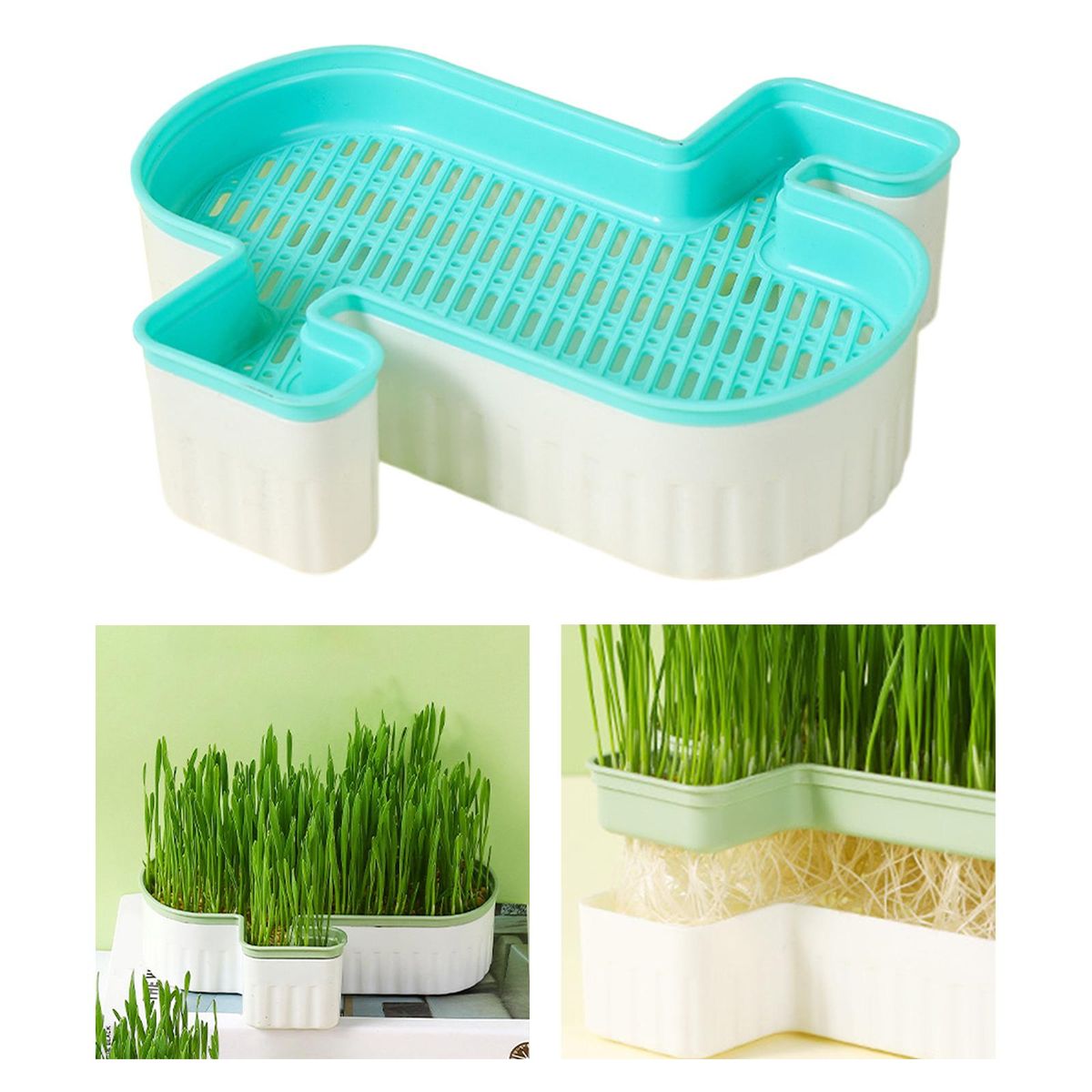 Cats  Cats Snack Tray Reusable Blue