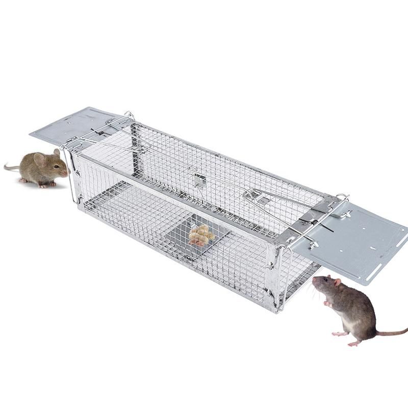 Double Door Mouse Trap Cage For Indoor And Outdoor (Size L)