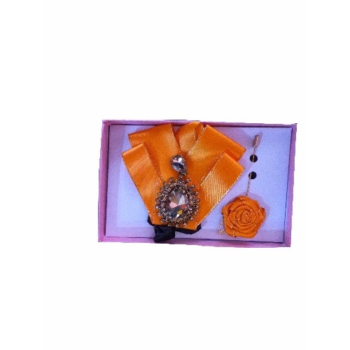 Men's Stylish Bowtie - Orange