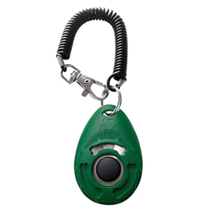 Puppy  Trainer Obedience  Wrist Is Introducing New Wearable Green