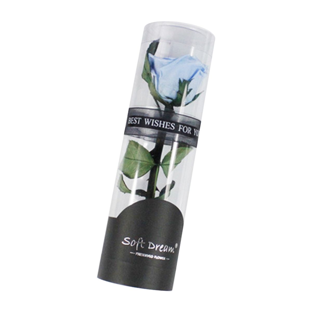 Preserved Real Rose Flower Eternal Rose Scented Forever Rose