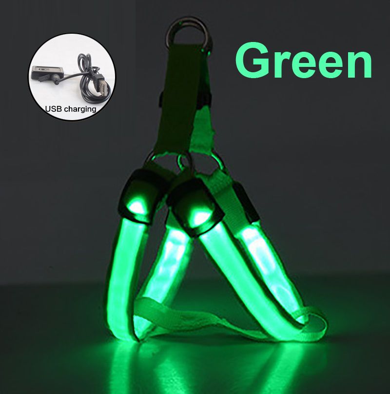USB Rechargeable Luminous LED Light Nylon Pet Dogs Collar Ni