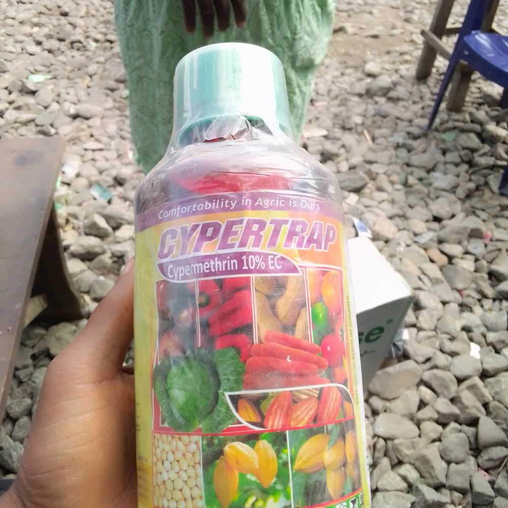 Cypertrap Cyperthrin/Insecticide For Rice, Cocoa, Beans-1 Litre