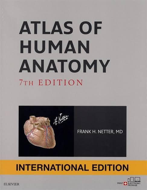 Atlas Of Human Anatomy By Frank Netter