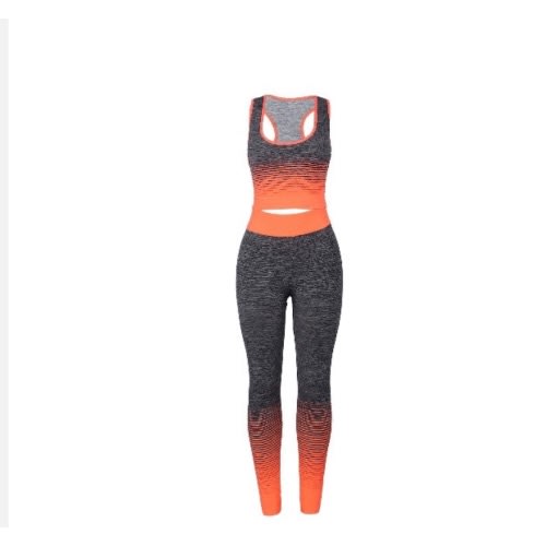 Women's Yoga Seamless 2 In 1 Fitness Wear