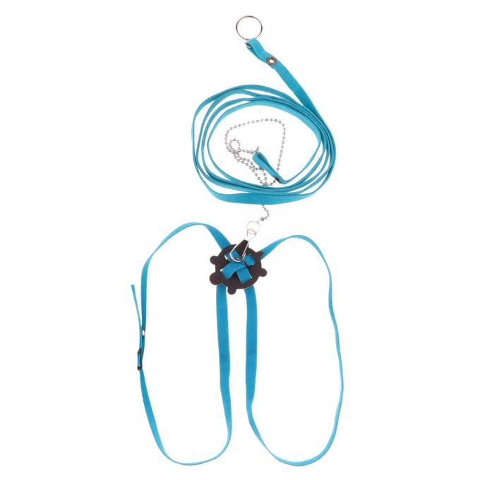 Adjustable Reptile Lizard Turtle Harness Leash For Pet Small Blue
