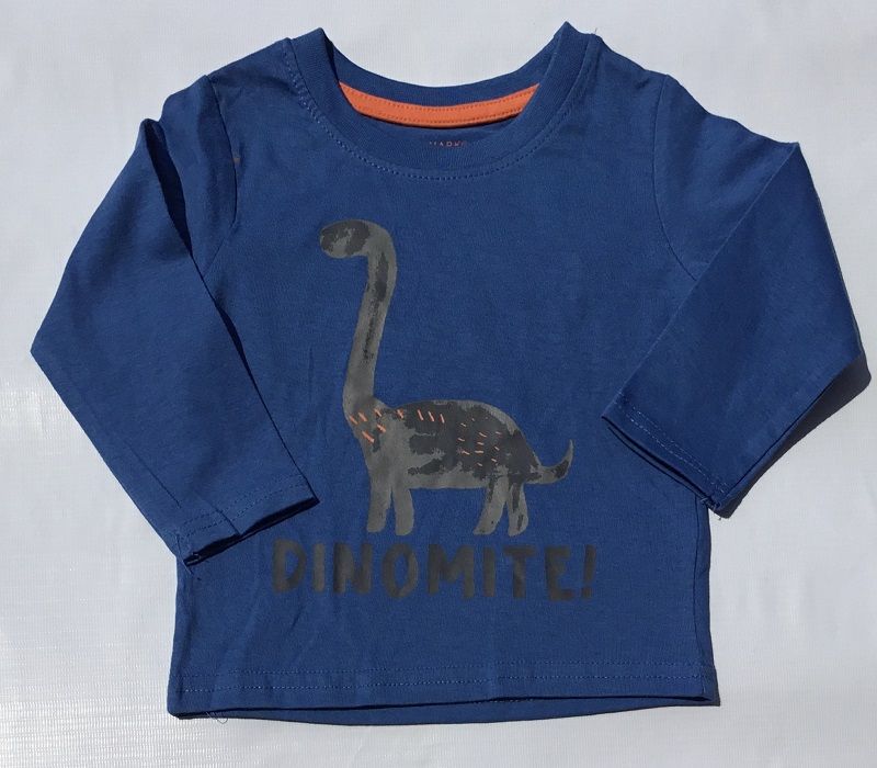 Dinomite Long Sleeve Boys Top