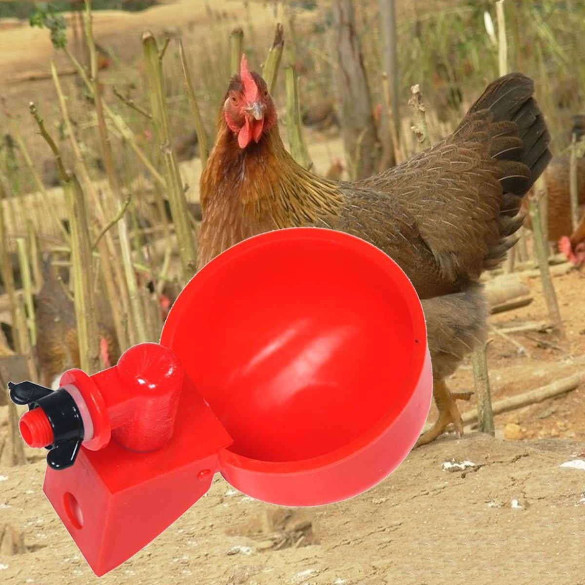 Poultry Chicken Automatic Watering Cups Farm Dispenser Waterer Red 1pc