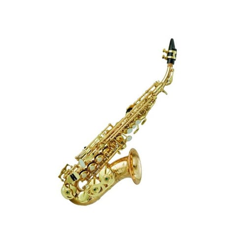 Curved Soprano Saxophone With Stand