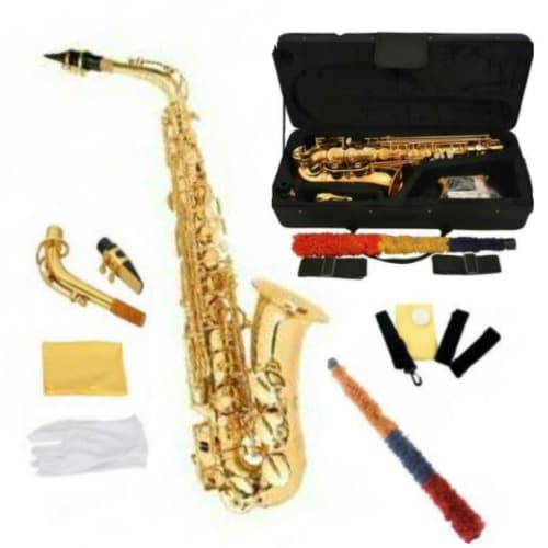 Alto Saxophone with Accessories -Gold