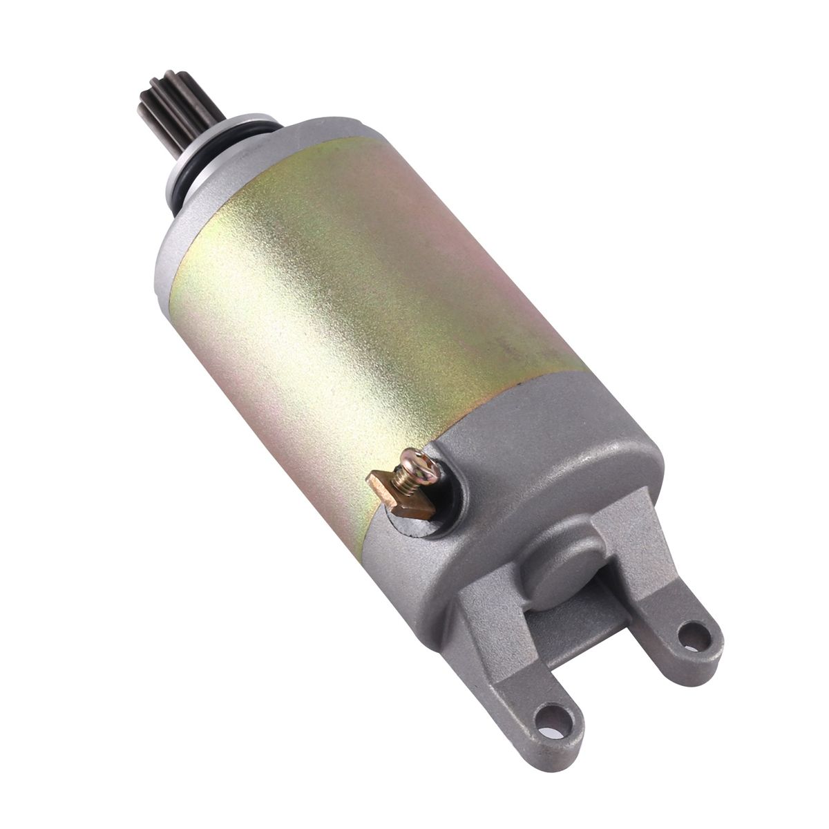 Starter Motor Motorcycle Supplies for Suzuki GSF250 GSX250 GSXR250