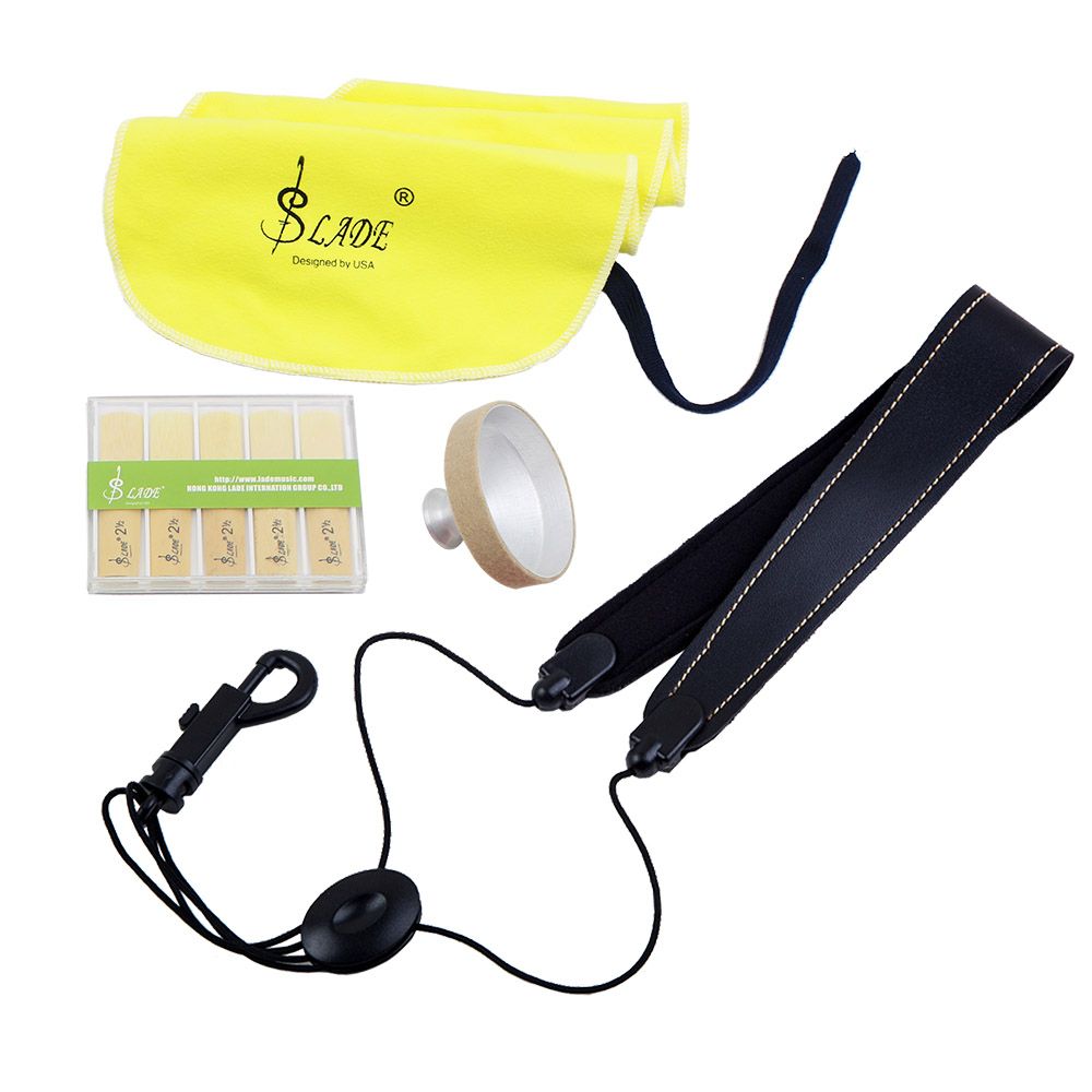LADE 4-in-1 Alto Saxophone Sax Accessory Kit Belt Cleaning