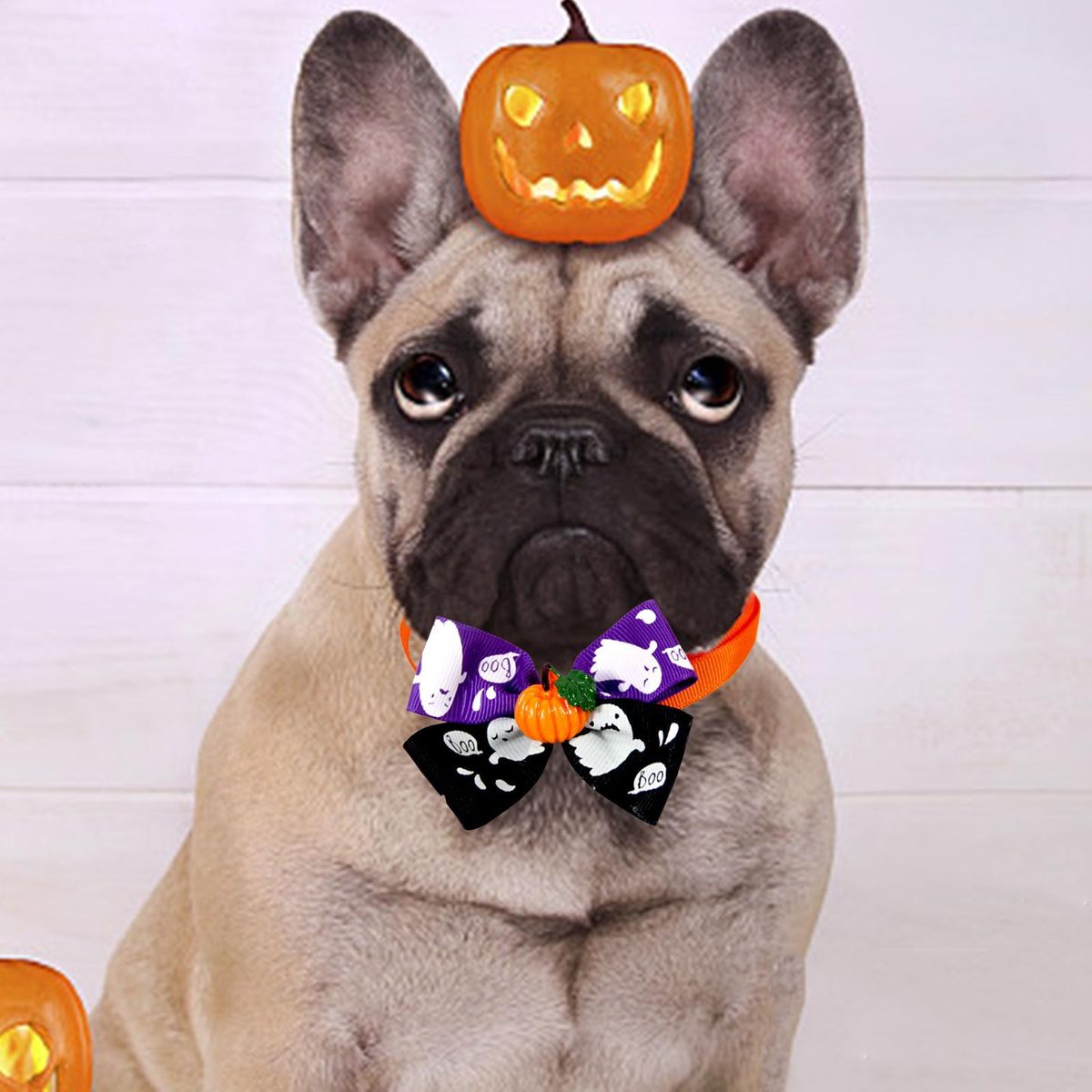 Cat Choker Necklace Cat Bowties Fall Halloween  E