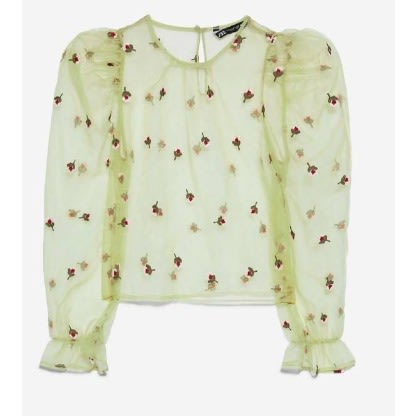 Embroided Organza Top - Green
