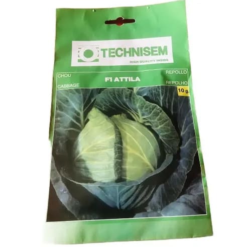 Hybrid Cabbage Seed - Attila F1  -10g