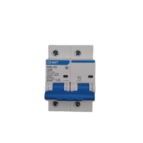 2pole Circuit Breaker Ac 100amps Chint