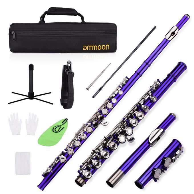 Ammoon Closed Hole C Flute 16 Keys Cupronickel