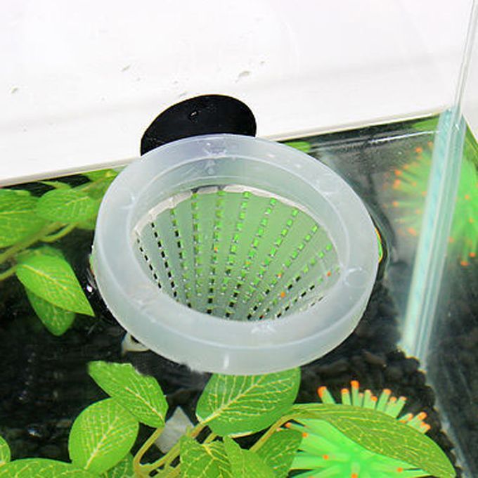 Aquarium Basket Feeder   Food Live Worm Cone Feed Angel   Discus