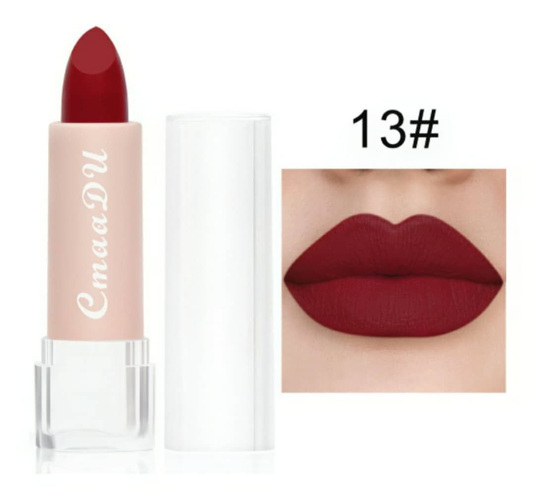 Long Lasting Lip Stick