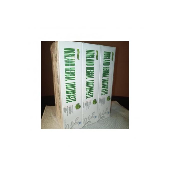 6 Norland Herbal Toothpaste - Mint (Treats Bad Breath)