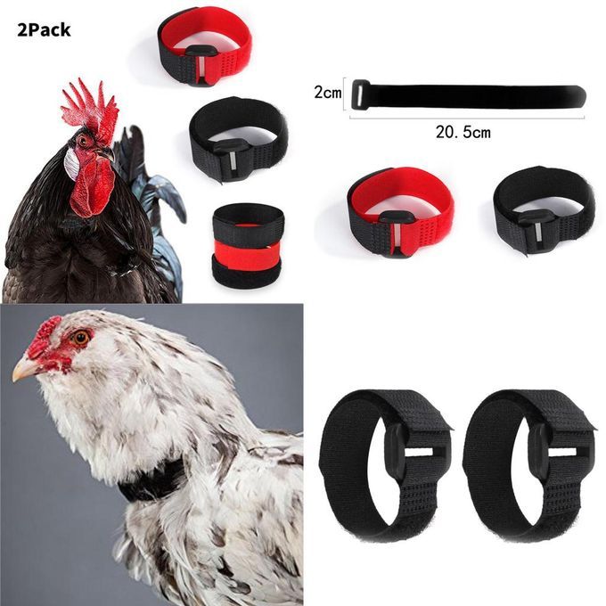 4pcs No-Crow Rooster Collar No Crow Noise Neck Belt For Roosters Black