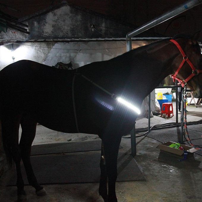 LED Horse Breastplate Collar Halter Horse Riding In Night White