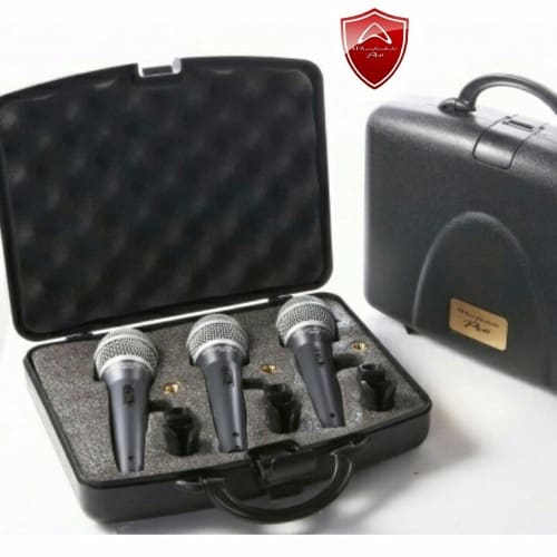 3 in 1 Microphone