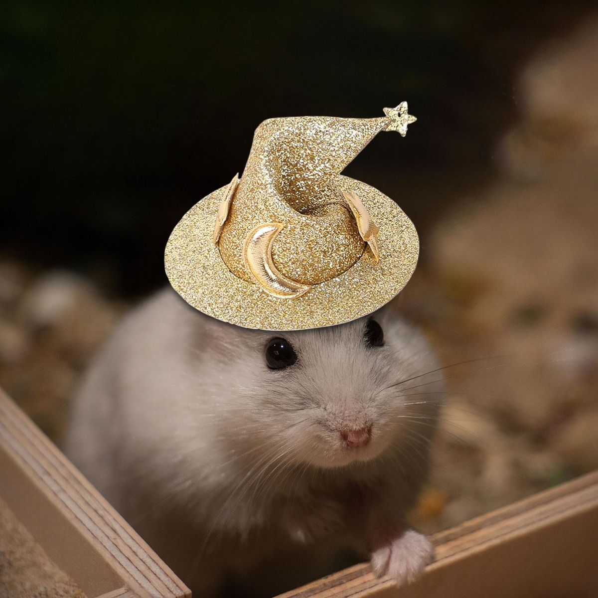 Pet Hats Funny  Headwear Plush Headgear Aureate