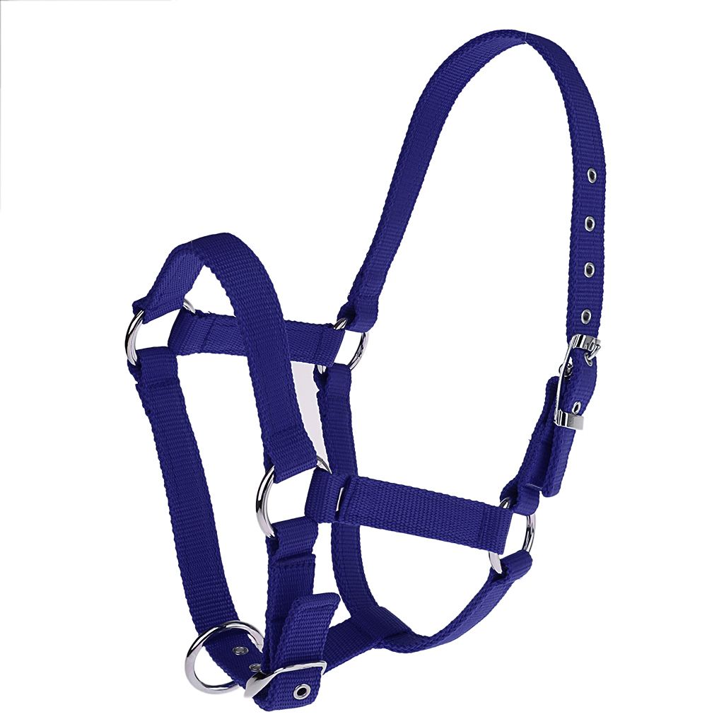Adjustable Nylon Webbing Equestrian Western Horse Halter Horse Blue M