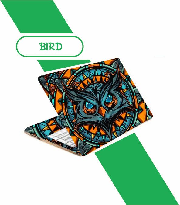 Owl Skin
