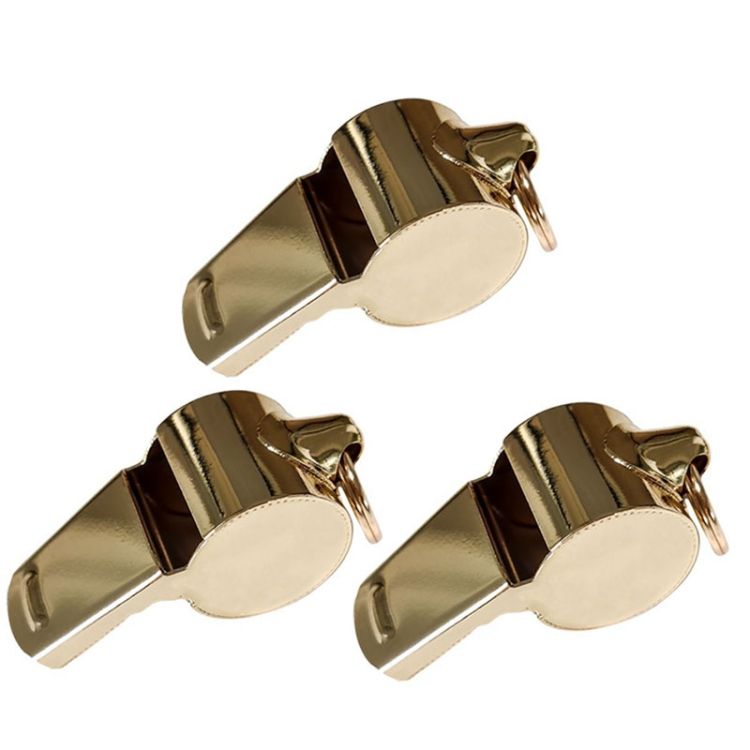 3pcs 304 Stainless Steel Coach Whistle