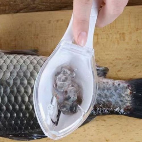 Fish Scaler Tool Scraping Fish Scraper