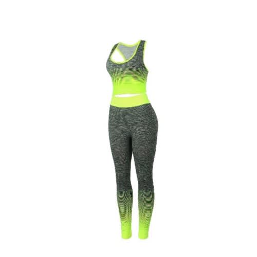 2 In 1 Women's Seamless Yoga Fitness Wear